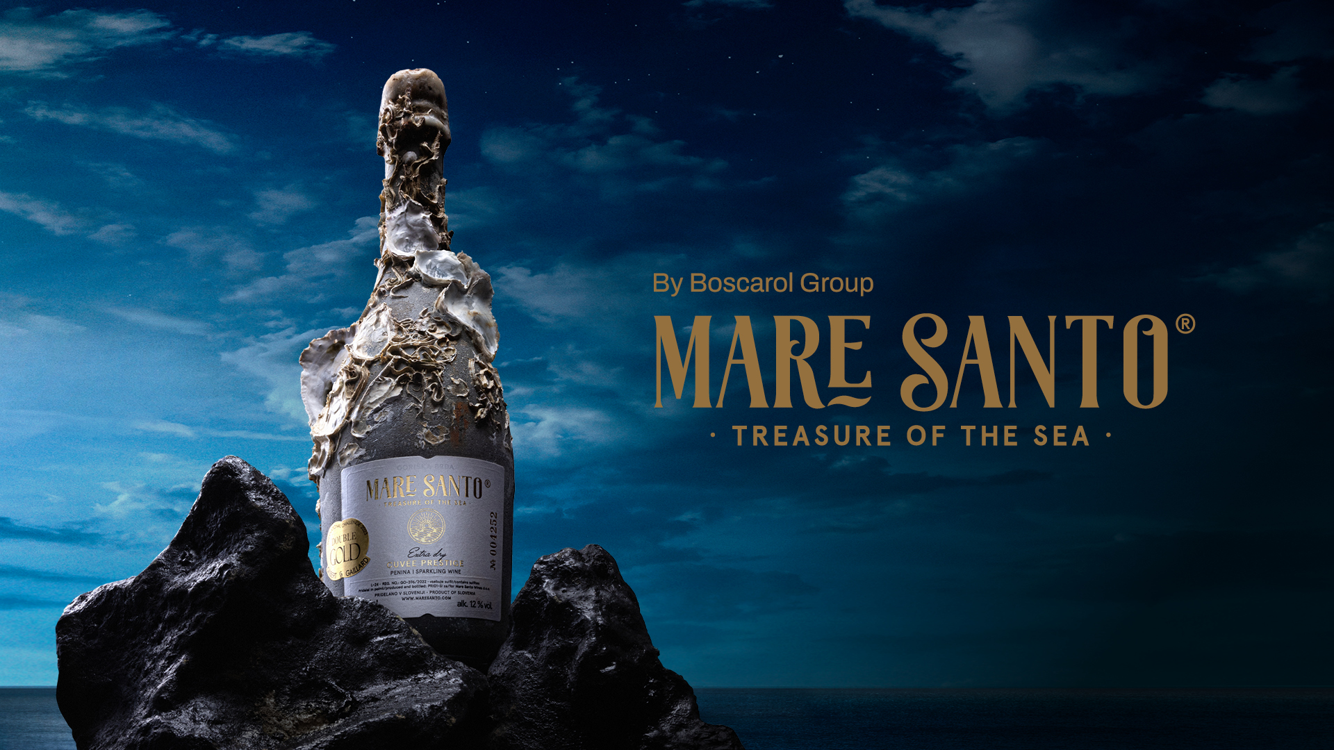 Referenčni projekt #1